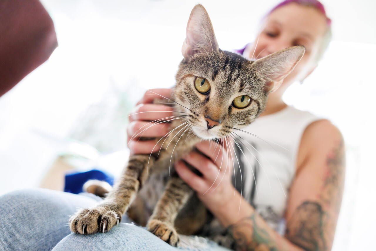 Oh jah, järgnev on sobiv lugemisvara sadistidele. Lapsed on väikesed, armsad ja nad on maailma tulevik. Lapsi ei tohi piinata. Seda lihtsat asja on aga väga ras